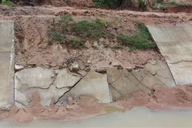 Nhiều điểm sụt lún, sạt lở tại Kênh chính Đông và Kênh chính Tây của Thủy lợi Ia Mơr. (Ảnh: Hồng Điệp/TTXVN)