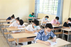 Ảnh minh họa. (Ảnh: Bích Huệ/TTXVN)