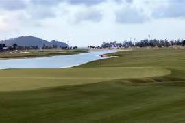 Ảnh minh họa. (Ảnh: Công Thử/TTXVN)