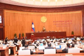 Quang cảnh kỳ họp. (Ảnh: Đỗ Bá Thành/TTXVN)
