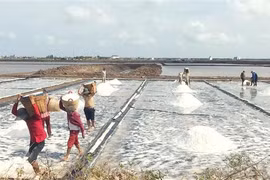 Diêm dân mong mỏi các ngành chức năng tìm giải pháp hỗ trợ, tạo động lực để diêm dân tiếp tục duy trì và phát triển làng nghề truyền thống. (Ảnh: TTXVN phát)
