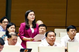Đại biểu Quốc hội tỉnh Hưng Yên Vũ Hồng Luyến phát biểu ý kiến. (Ảnh: Doãn Tấn/TTXVN)