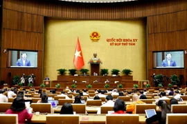 Quang cảnh phiên họp. (Ảnh: Doãn Tấn/TTXVN)