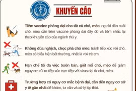 Các biện pháp phòng bệnh dại theo khuyến cáo của Bộ Y tế.