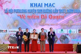 Hội Kỷ lục gia Việt Nam, Tổ chức Kỷ lục Việt Nam (Vietkings) trao Bằng công nhận rừng đỗ quyên cổ thụ tập trung trên núi Putaleng ở độ cao 2.619m có diện tích lớn nhất Việt Nam. (Ảnh: Quý Trung/TTXVN)