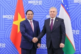 Thủ tướng Phạm Minh Chính gặp Tổng thống Uzbekistan Shavkat Mirziyoyev. (Ảnh: Dương Giang/TTXVN)