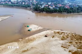 Ảnh minh họa. (Nguồn: TTXVN)