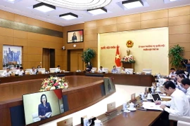 Quang cảnh phiên họp. (Ảnh: Doãn Tấn/TTXVN)