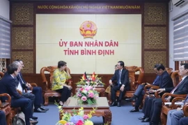 Quang cảnh buổi tiếp và làm việc với Đại sứ Cộng hòa Liên bang Đức tại Việt Nam. (Nguồn: Cổng Thông tin Điện tử tỉnh Bình Định)