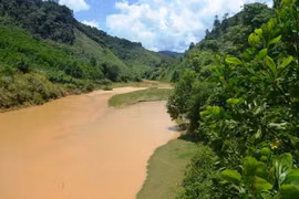 Dự án sẽ giải quyết vấn đề phân mảnh của các cảnh quan rừng. (Nguồn: baotainguyenmoitruong.vn)