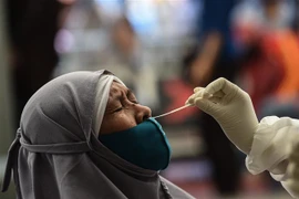 Nhân viên y tế lấy mẫu xét nghiệm COVID-19 tại Jakarta, Indonesia. (Ảnh: THX/TTXVN)