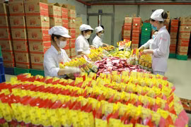 Đóng gói sản phẩm bánh quy tại nhà máy của Công ty CP Tràng An. (Ảnh: Vũ Sinh/TTXVN)