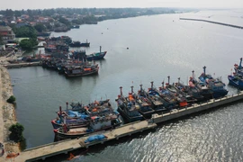 Tàu thuyền tại khu neo đậu tránh trú bão Phú Hải. (Ảnh: Hồ Cầu/TTXVN)