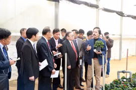 Đại diện công ty Đà Lạt Hasfarm giới thiệu về sản xuất hoa công nghệ cao. (Ảnh: Đặng Tuấn/TTXVN)