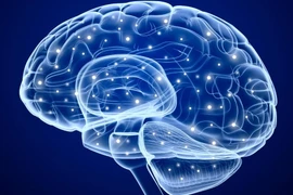 (Nguồn: digitaltrends.com)