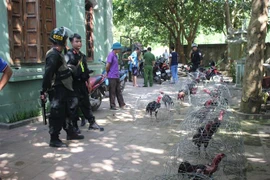 (Ảnh minh họa: Vũ Hà/TTXVN)