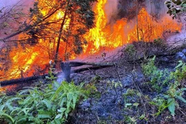 (Ảnh minh họa: Việt Hùng/TTXVN)