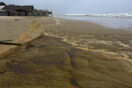 Nước biển có màu xám đen, nổi bọt vàng. (Ảnh: Phước Ngọc/TTXVN)