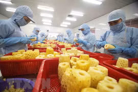 Chế biến sản phẩm dứa đóng hộp tại nhà máy của Công ty Cổ phần xuất nhập khẩu nông sản An Giang. (Ảnh: Vũ Sinh/TTXVN)