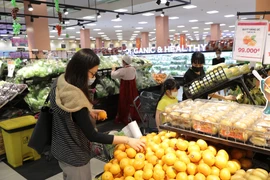 Người dân mua sắm hàng hóa tại AEON. (Ảnh: Đức Duy/Vietnam+)