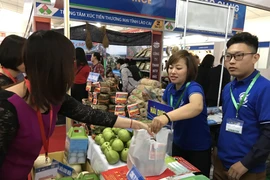 Các doanh nghiệp tham gia hội chợ thương mại do ngành Công Thương tổ chức. (Ảnh: Đức Duy/Vietnam+)