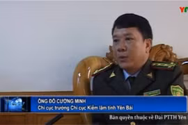 Không khởi tố vụ trọng án Yên Bái do nghi phạm đã tử vong