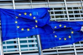 Slovenia sẽ là quốc gia tiếp theo đảm nhận cương vị Chủ tịch luân phiên EU. (Nguồn: aa.com.tr)