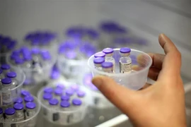 Vaccine phòng COVID-19 của Pfizer-BioNTech. (Ảnh: THX/TTXVN)