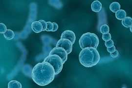 Ảnh minh họa. (Nguồn: yourgenome.org)