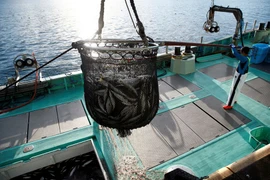 Ảnh minh họa. (Nguồn: reuters.com)