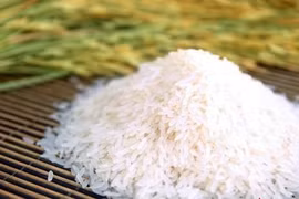 Chuyên gia Lý Quý Trung khuyến nghị cần phải đăng ký bảo hộ thương hiệu, ngay từ giai đoạn khởi đầu. (Nguồn: gaongonlongan.com)
