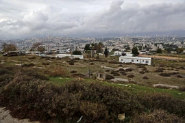 Việt Nam nêu quan điểm về tiến trình hòa bình Trung Đông