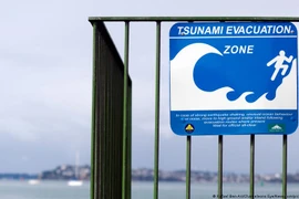 Giới chức New Zealand đã ban hành cảnh báo sóng thần sau trận động đất. (Ảnh: DW)
