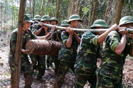 Lực lượng công binh thực hiện rà phá bom mìn tại Quảng Ninh. (Ảnh: Văn Đức/TTXVN)