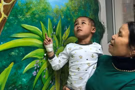 Điều trị thành công cho bệnh nhi bị vết thương sọ não hở do chó cắn