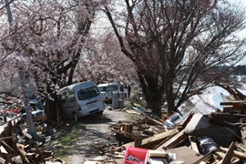 Tổng thư ký LHQ tưởng nhớ các nạn nhân thảm họa kép Nhật Bản