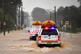 Người dân Australia chật vật đương đầu với trận lụt lịch sử