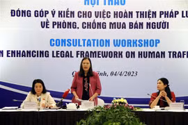 Bà Lê Thị Nga, Ủy viên Trung ương Đảng, Chủ nhiệm Ủy ban Tư pháp của Quốc hội, phát biểu tại Hội thảo. (Ảnh: Đức Hiếu/TTXVN)