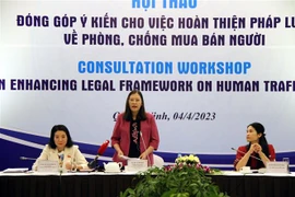 Bà Lê Thị Nga, Ủy viên Trung ương Đảng, Chủ nhiệm Ủy ban Tư pháp của Quốc hội, phát biểu tại Hội thảo. (Ảnh: Đức Hiếu/TTXVN)