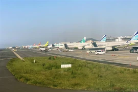 Máy bay của các hãng hàng không Hàn Quốc tại Sân bay Quốc tế Jeju. (Ảnh: Anh Nguyên/TTXVN)