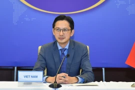 Thứ trưởng Ngoại giao Đỗ Hùng Việt. (Ảnh: TTXVN phát)