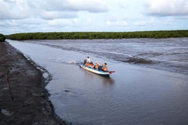 Du khách tham quan bãi bồi Cà Mau, Khu du lịch Đất Mũi, huyện Ngọc Hiển. (Ảnh: Hồng Đạt/TTXVN)