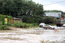 Đề phòng ngập úng tại các vùng trũng, thấp tại vùng núi Bắc Bộ. (Ảnh: Vũ Quang/TTXVN)