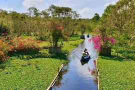 Khách du lịch đi xuồng tham quan Rừng tràm Trà Sư (huyện Tịnh Biên, An Giang). (Ảnh: Thanh Sang/TTXVN)