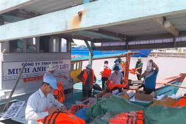 Chuẩn bị xuất bến chở tôm giống ra biển thả vào môi trường tự nhiên tái tạo nguồn lợi thủy sản. (Ảnh: Tuấn Kiệt/TTXVN)