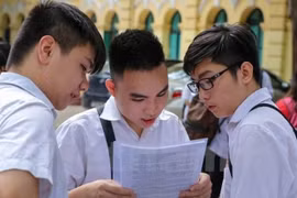 Ảnh minh họa. (Nguồn: Vietnam+) 