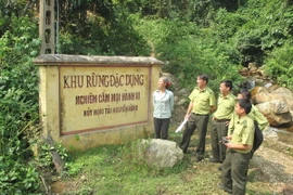 Quy hoạch hệ thống rừng đặc dụng cả nước đến năm 2020