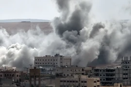 Thổ Nhĩ Kỳ tuyên bố phản đối cả IS và Tổng thống Syria