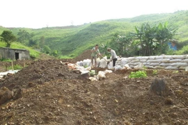 Hội thảo khoa học quốc tế Việt-Đức về tiêu chuẩn bảo vệ đất