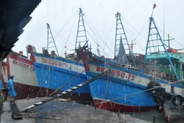 Vắng lặng tàu neo đậu trong khu tránh trú bão trị giá 47 tỷ đồng